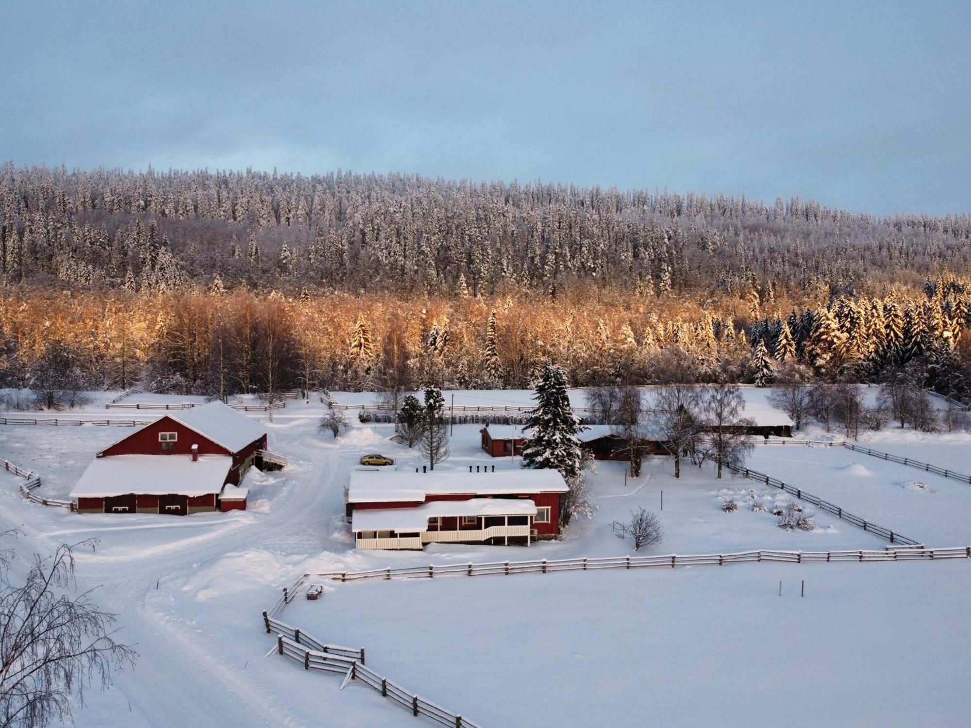 Villa Paimentupa Kolinkylä Exterior foto