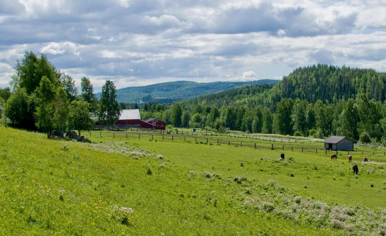 Villa Paimentupa Kolinkylä Habitación foto